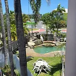 Reef Palms