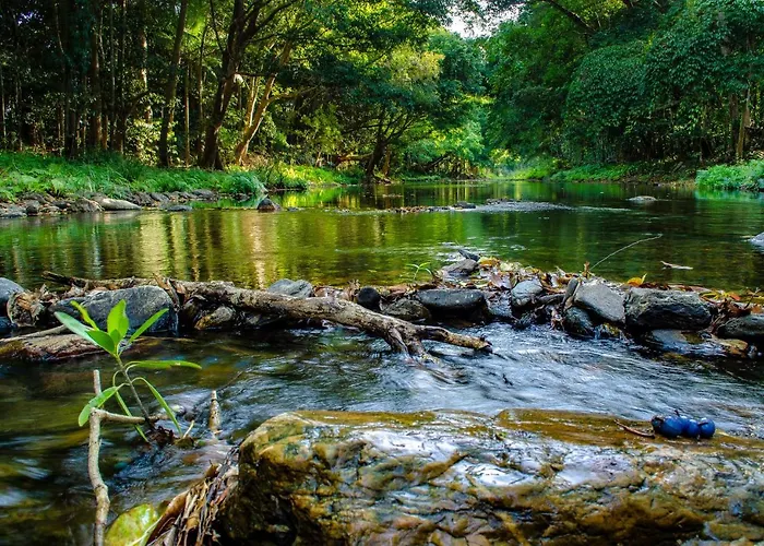 Cairns Homestead Redlynch Pet And Family Friendly