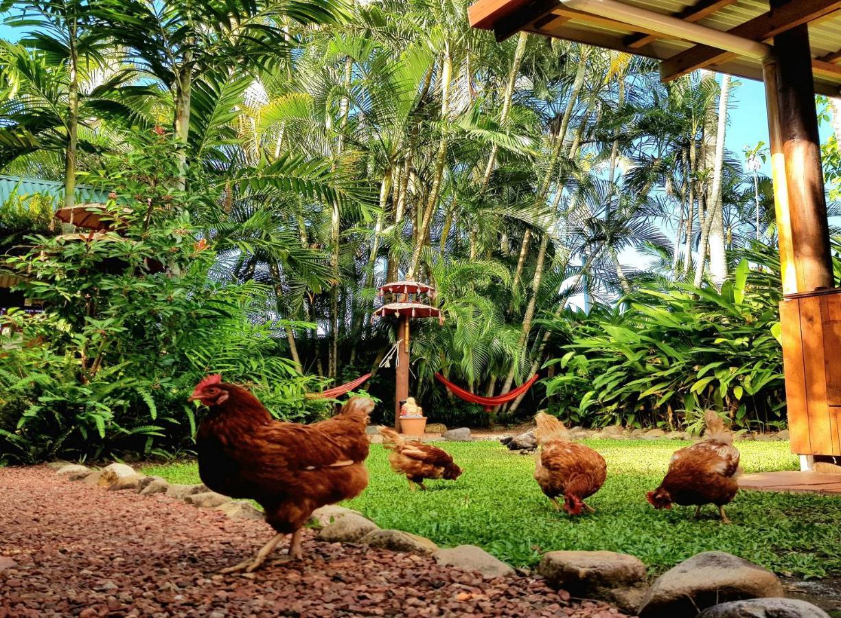 Tropic Days Boutique Hostel Hostel