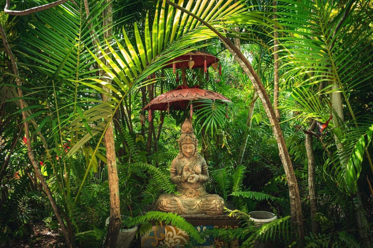 Hostel Tropic Days Boutique Hostel Cairns