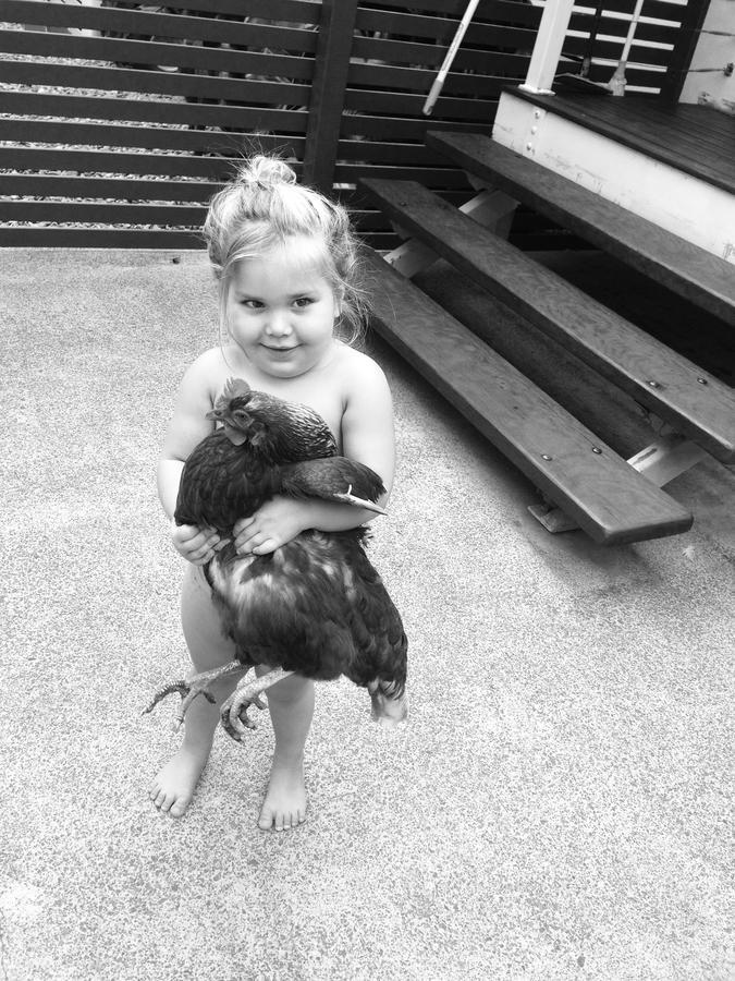 Homestead Redlynch Pet And Family Friendly