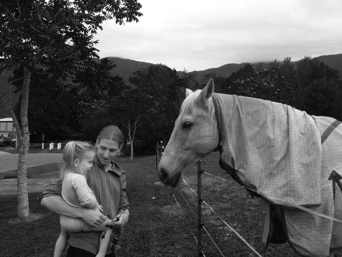 Homestead Redlynch Pet And Family Friendly Cairns