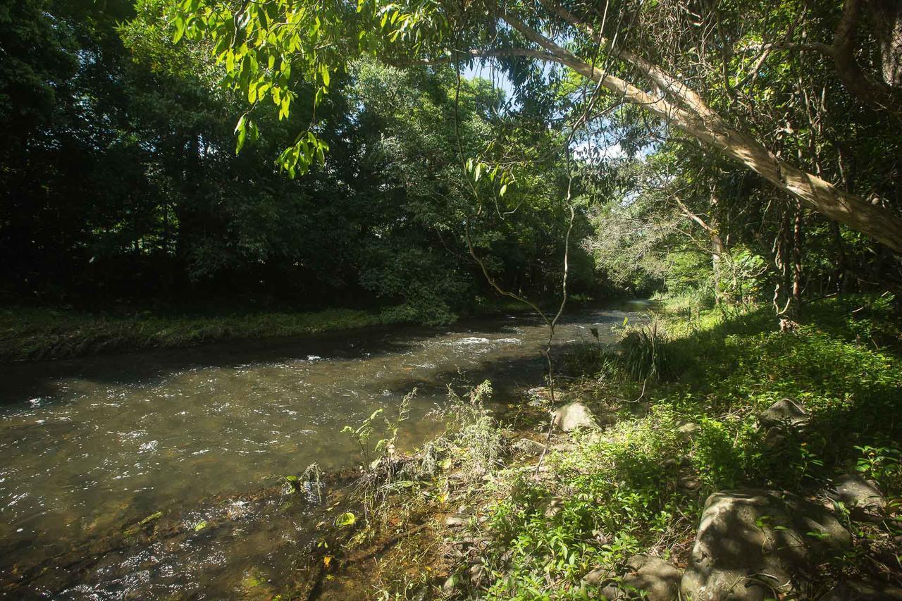 Homestead Redlynch Pet And Family Friendly Cairns