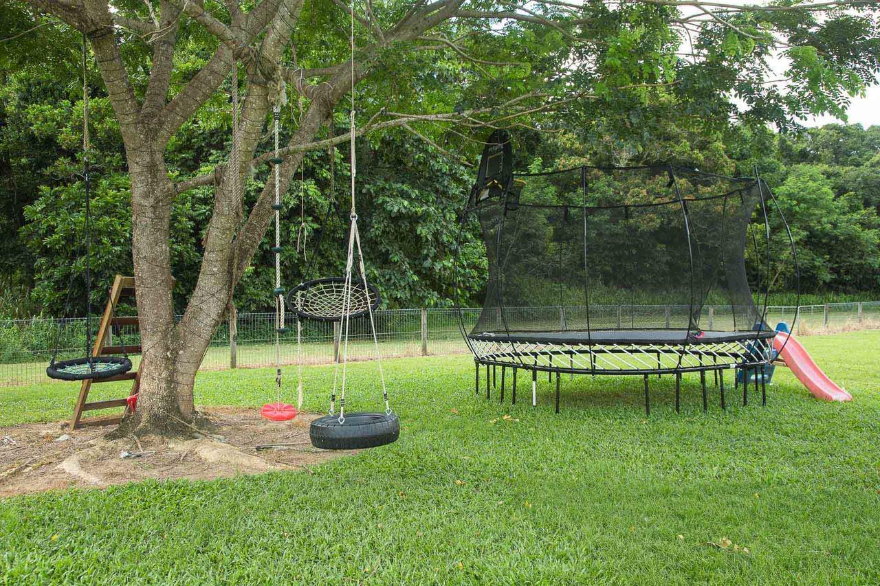 Homestead Redlynch Pet And Family Friendly Bed & Breakfast