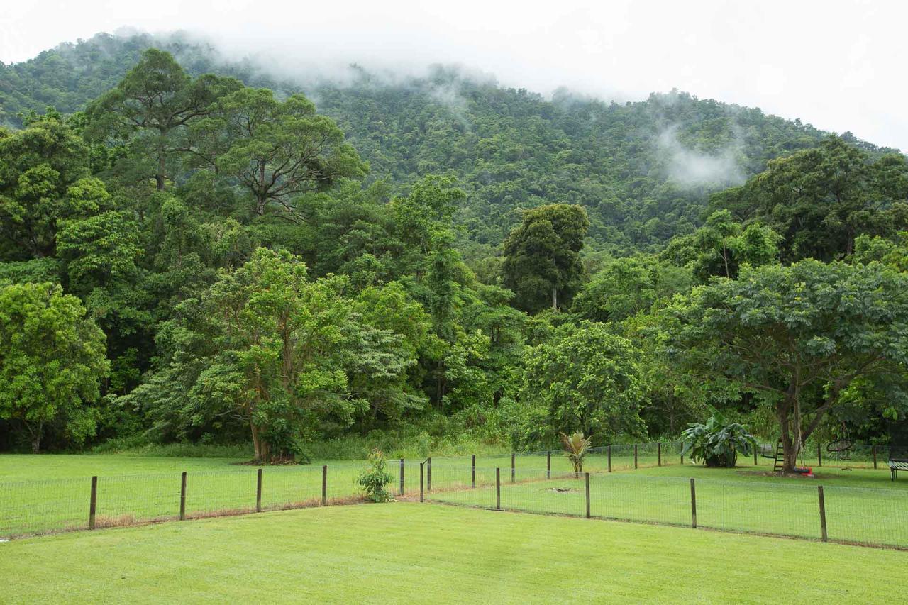 Homestead Redlynch Pet And Family Friendly Cairns