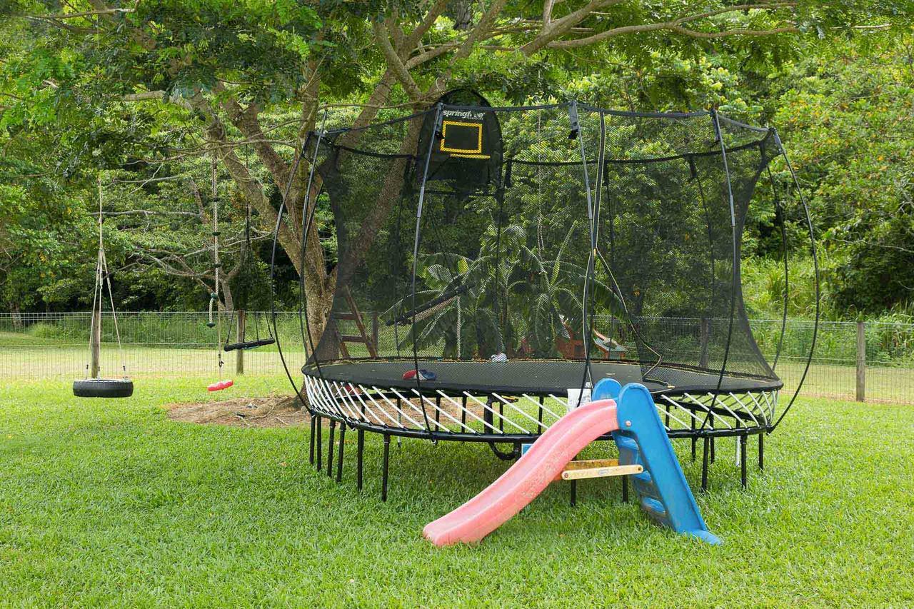 Homestead Redlynch Pet And Family Friendly Bed & Breakfast 5*