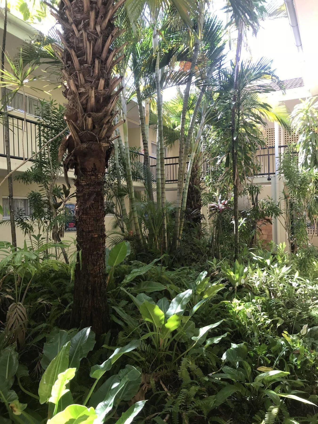 Vaucluse Aparthotel Cairns