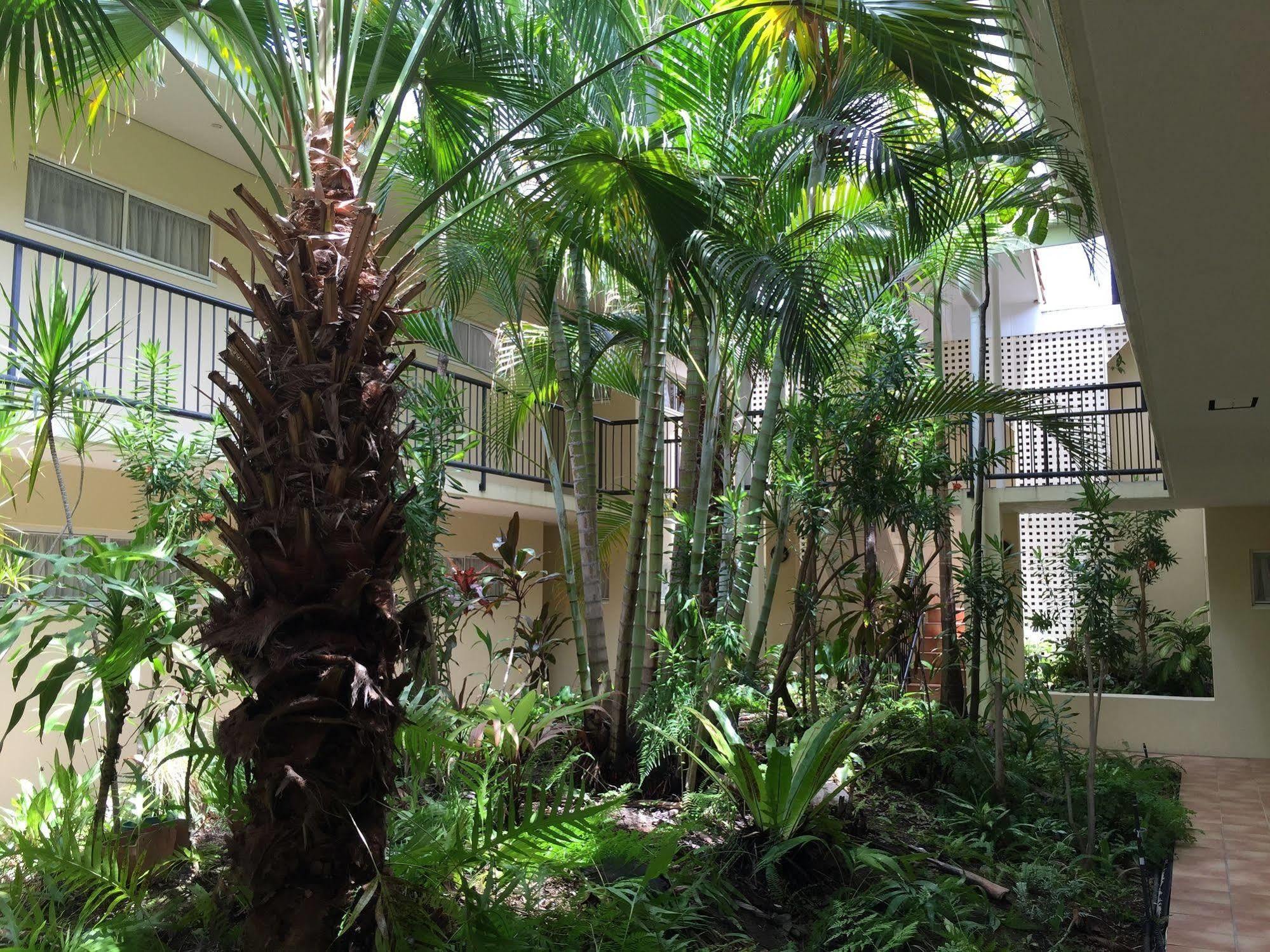 Vaucluse Cairns