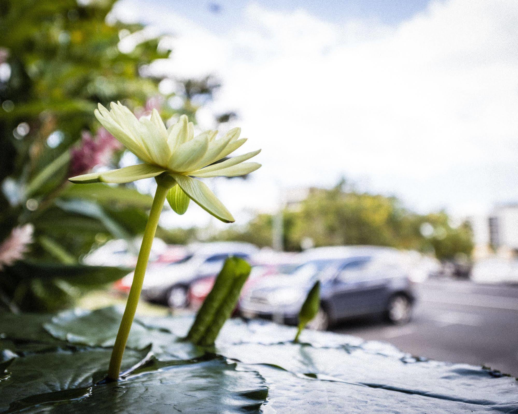 Cascade Gardens 4* Cairns