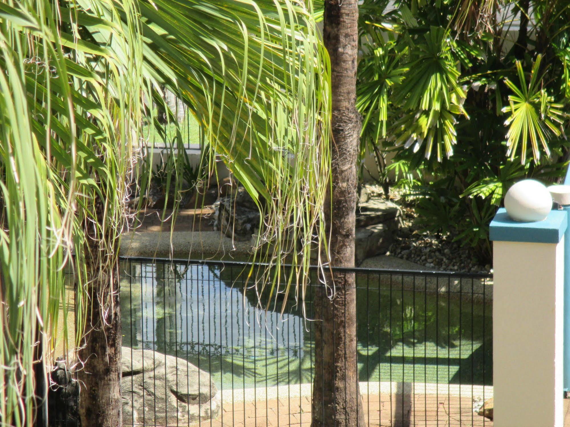 Royal Palm Cairns