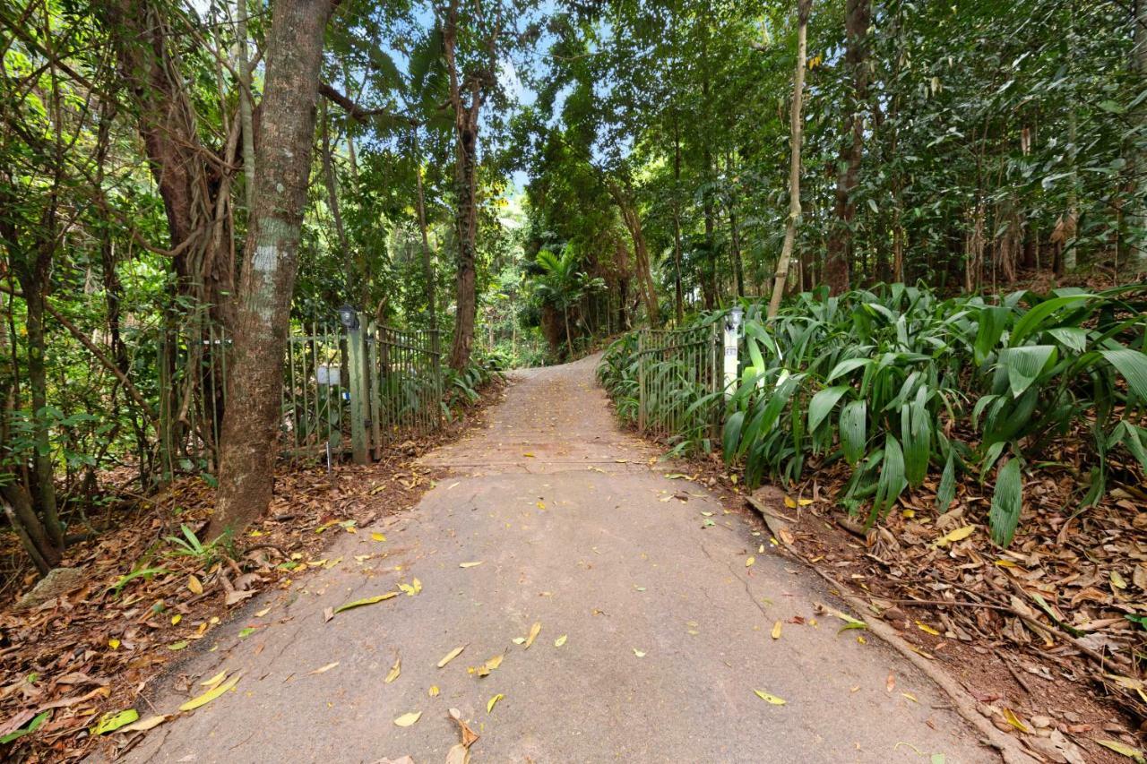 Poinciana * Cairns