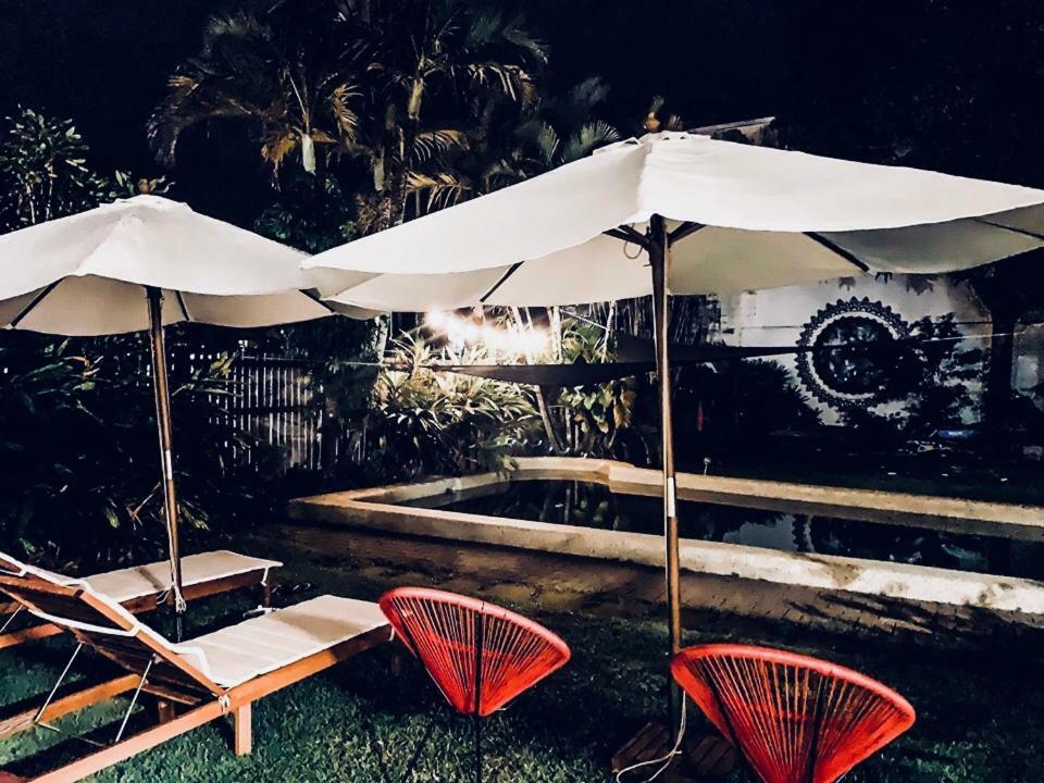 Albergue Jungle Hostel *