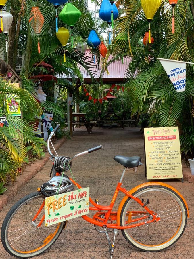Tropic Days Boutique Hostel *