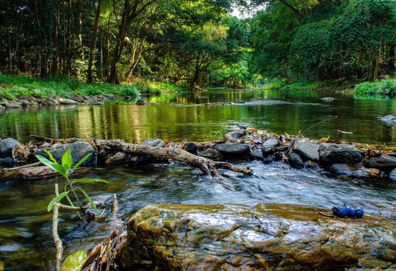 Homestead Redlynch Pet And Family Friendly 5* Cairns