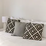The Vibrant Tropics - Cairns\' Palm-Lined Paradise