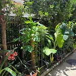 Tropical Ground-Floor Retreat Cairns