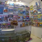 Aussiewolf Share House