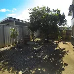 Aussiewolf Share House