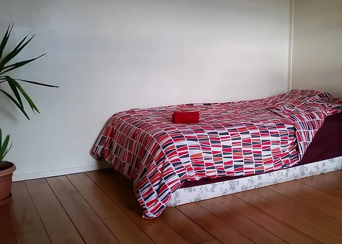 Aussiewolf Share House