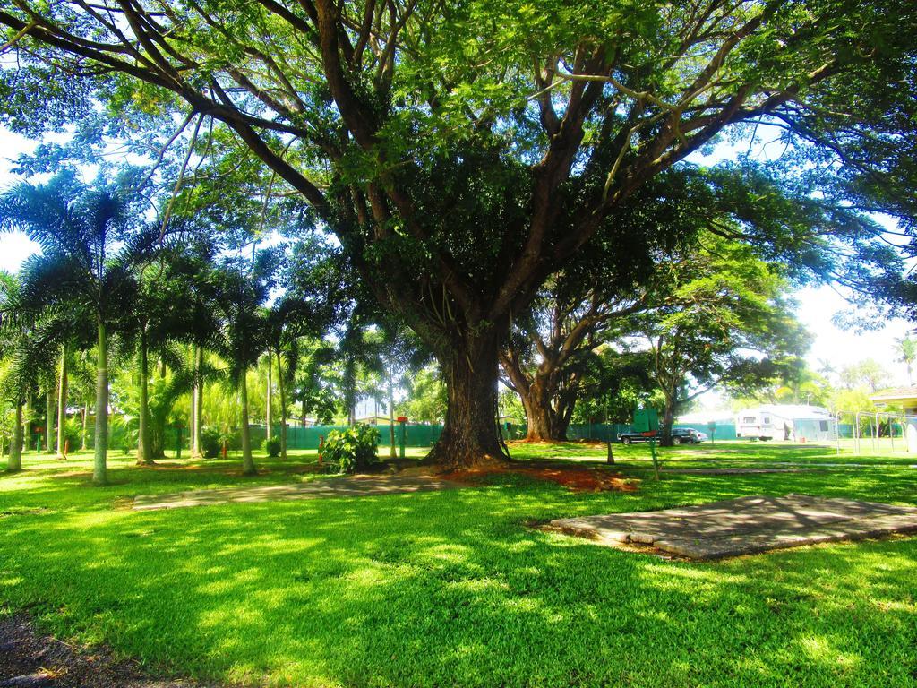 Holiday park First Caravilla Cairns