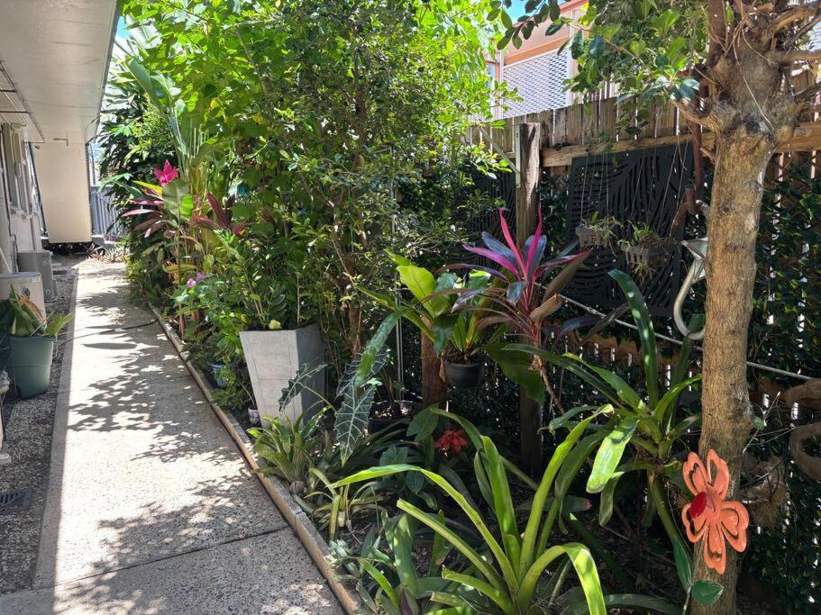 Tropical Ground-floor Retreat
