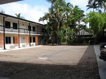 Palms
