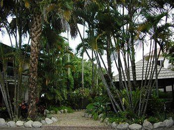 Palms Aparthotel Cairns