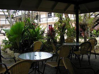 Palms 4*