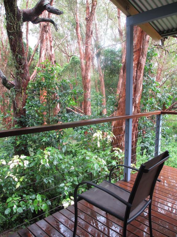 Bed & Breakfast Clifton Beach Retreat 4*