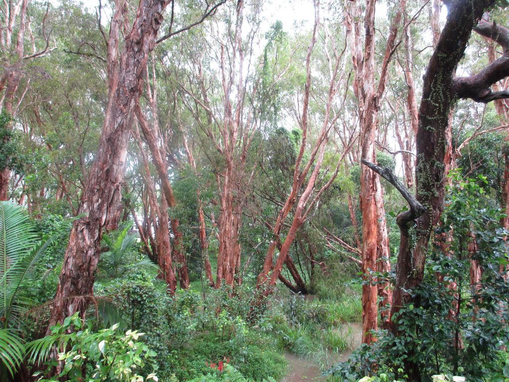 Bed & Breakfast Clifton Beach Retreat Cairns