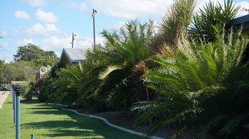 Motel Tropicana Cairns