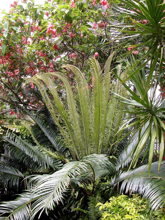 Aparthotel Queenslander & 4*