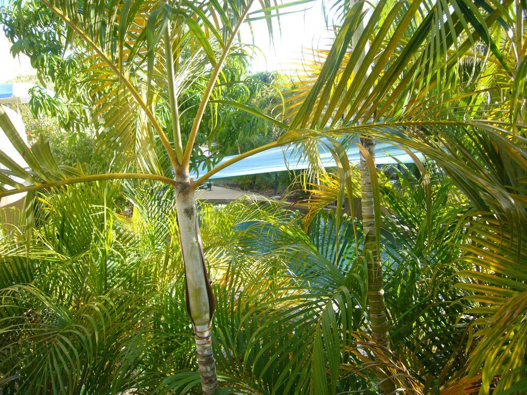 Aparthotel Pacific Sands Cairns