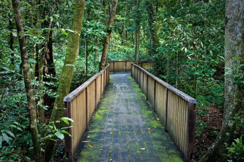 Mid Luxury 4* Cairns