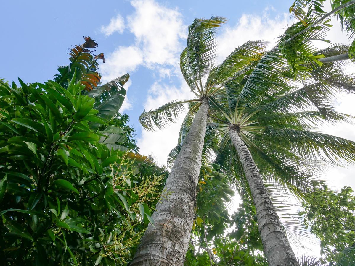 Why Not Backpackers Cairns