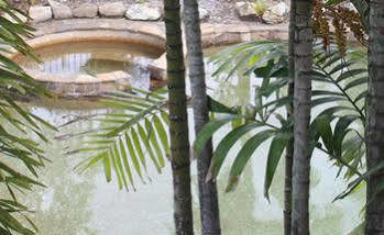 Motel Tropical Gardens Cairns