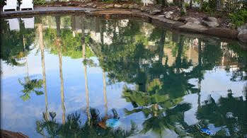 Tropical Gardens Motel 3*