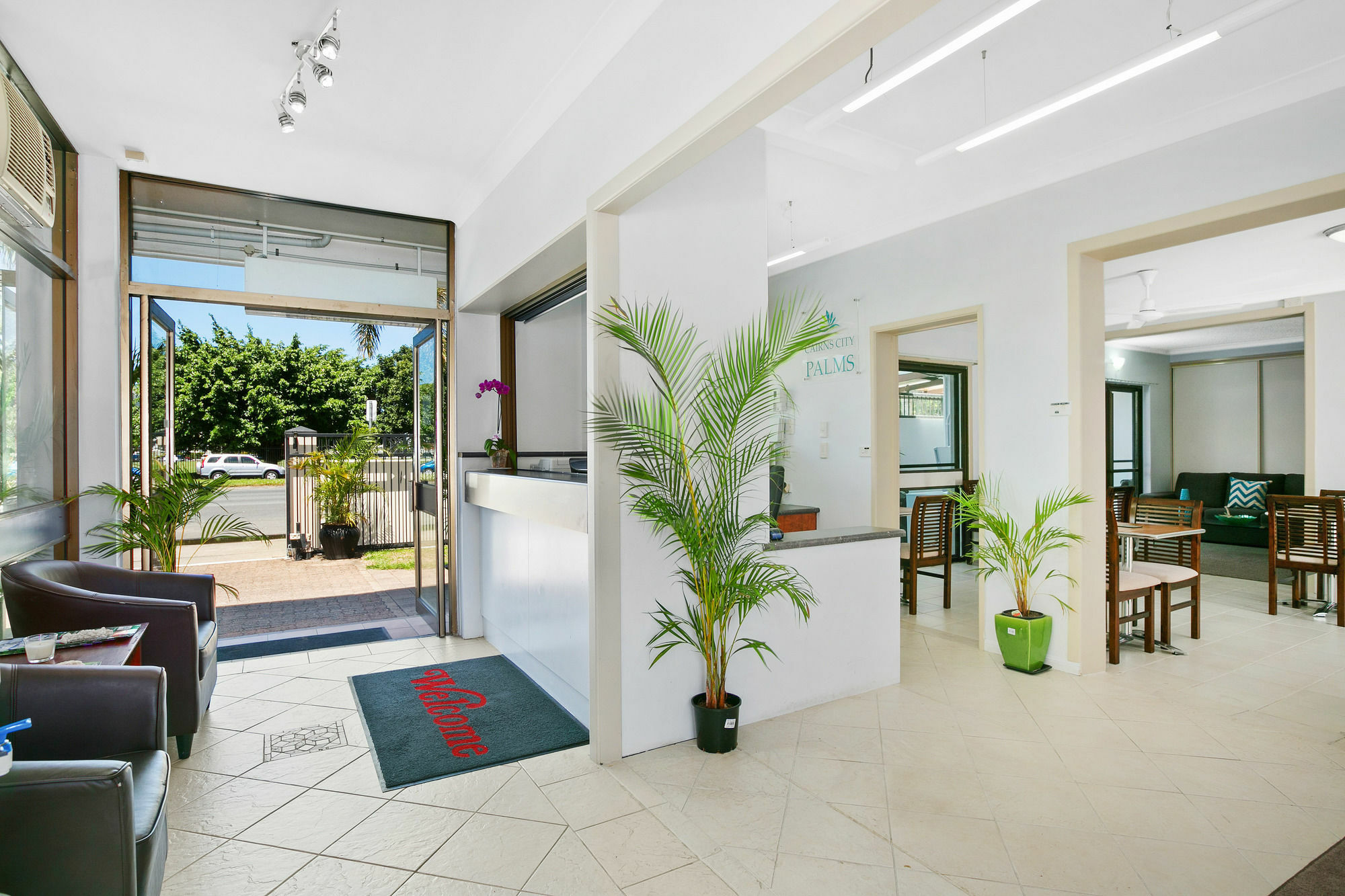 Palms