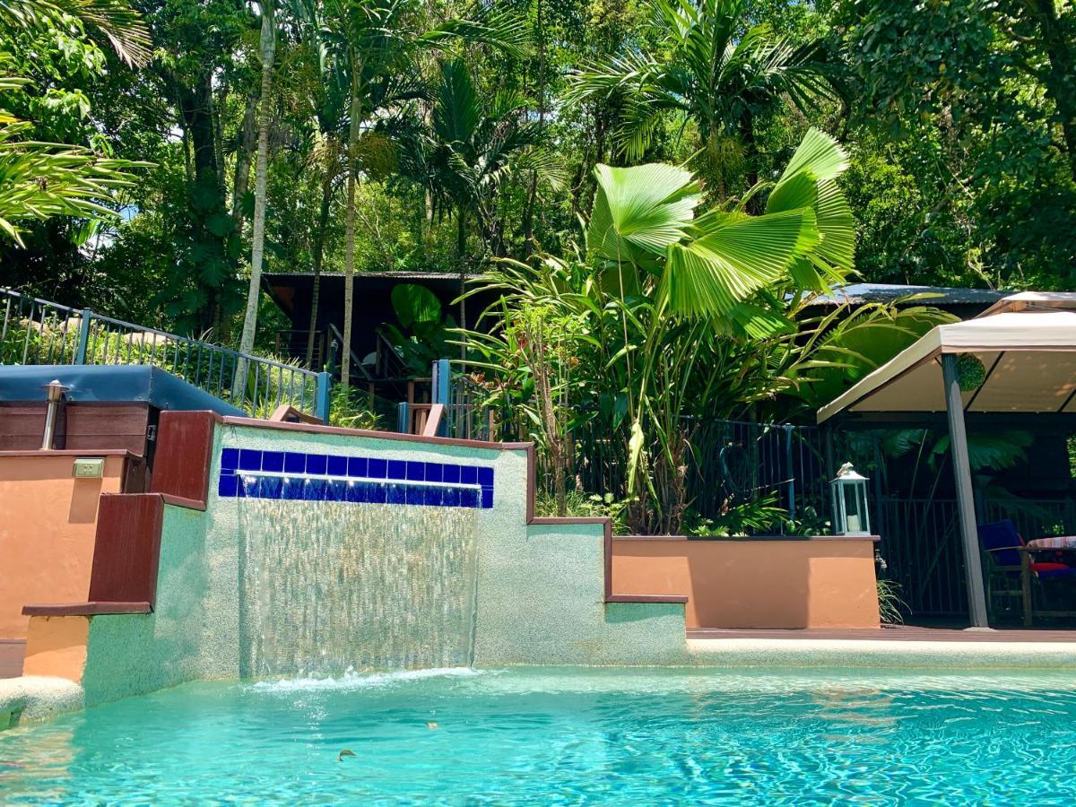 Rainforest Retreat Cairns