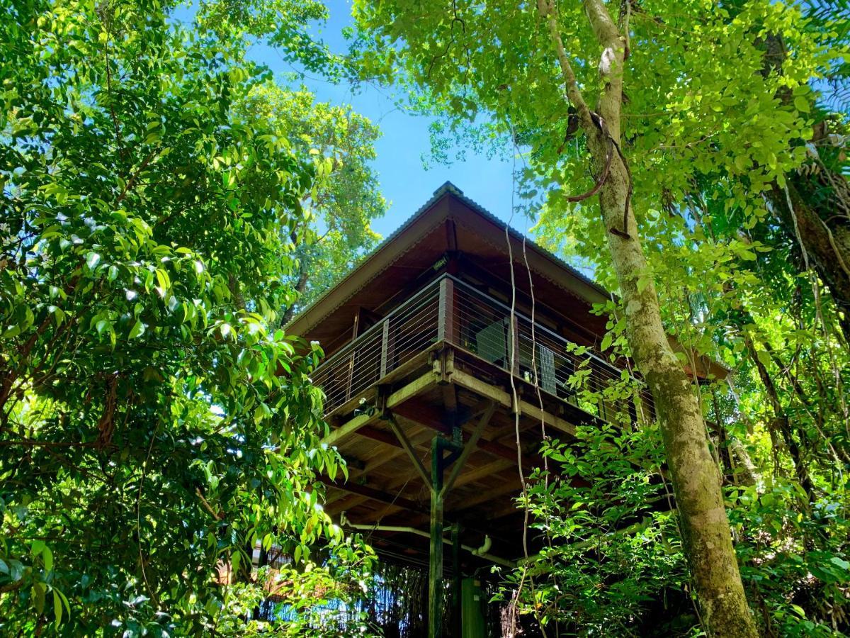 Resort Rainforest Retreat