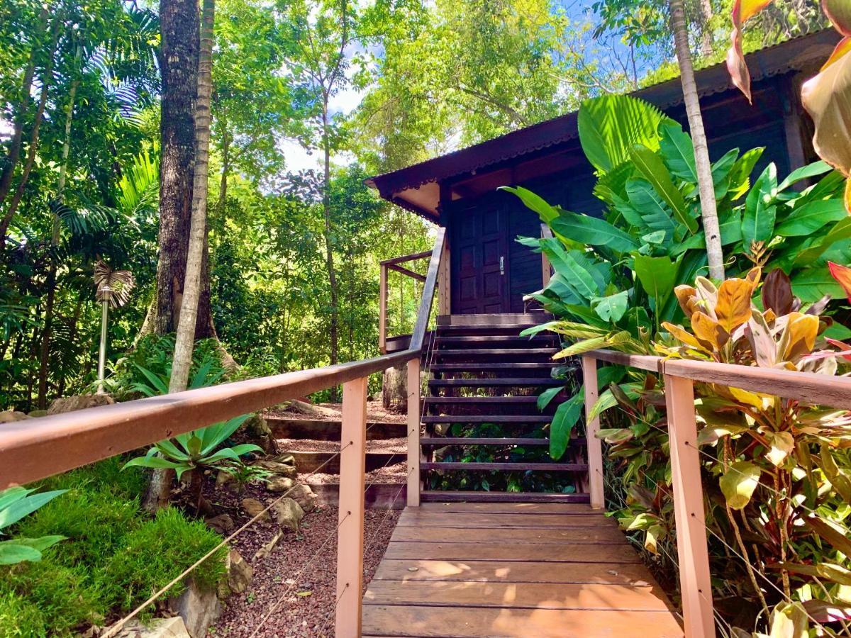 Rainforest Retreat Resort *