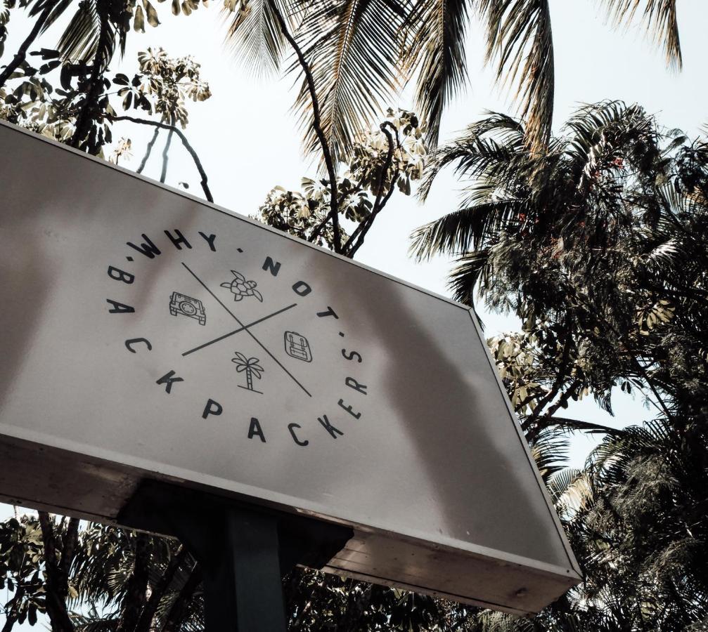Why Not Backpackers