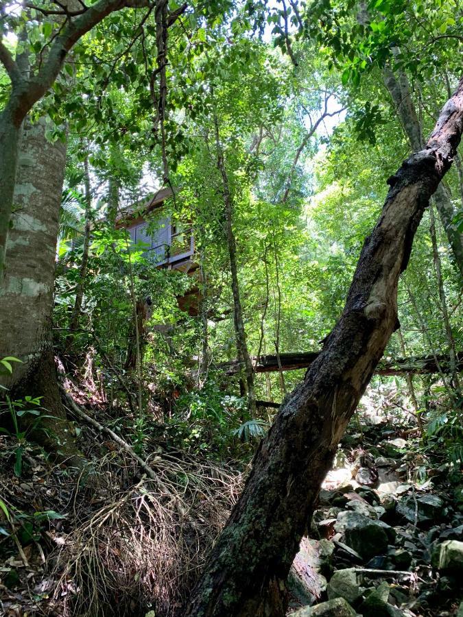 Rainforest Retreat Resort *