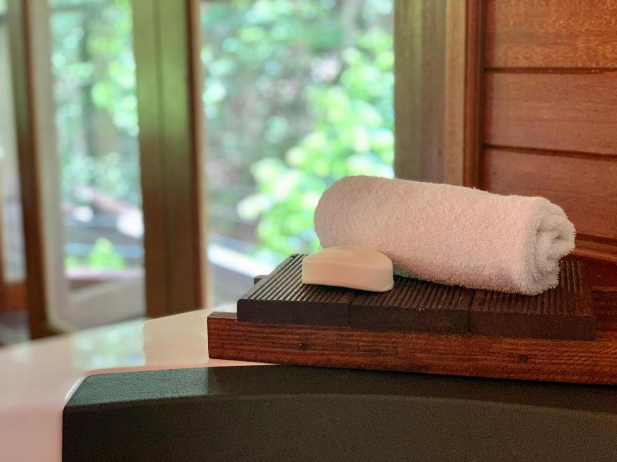 Rainforest Retreat Cairns