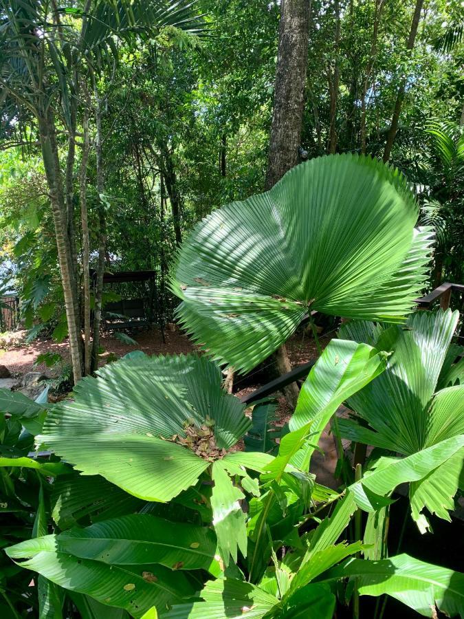Rainforest Retreat
