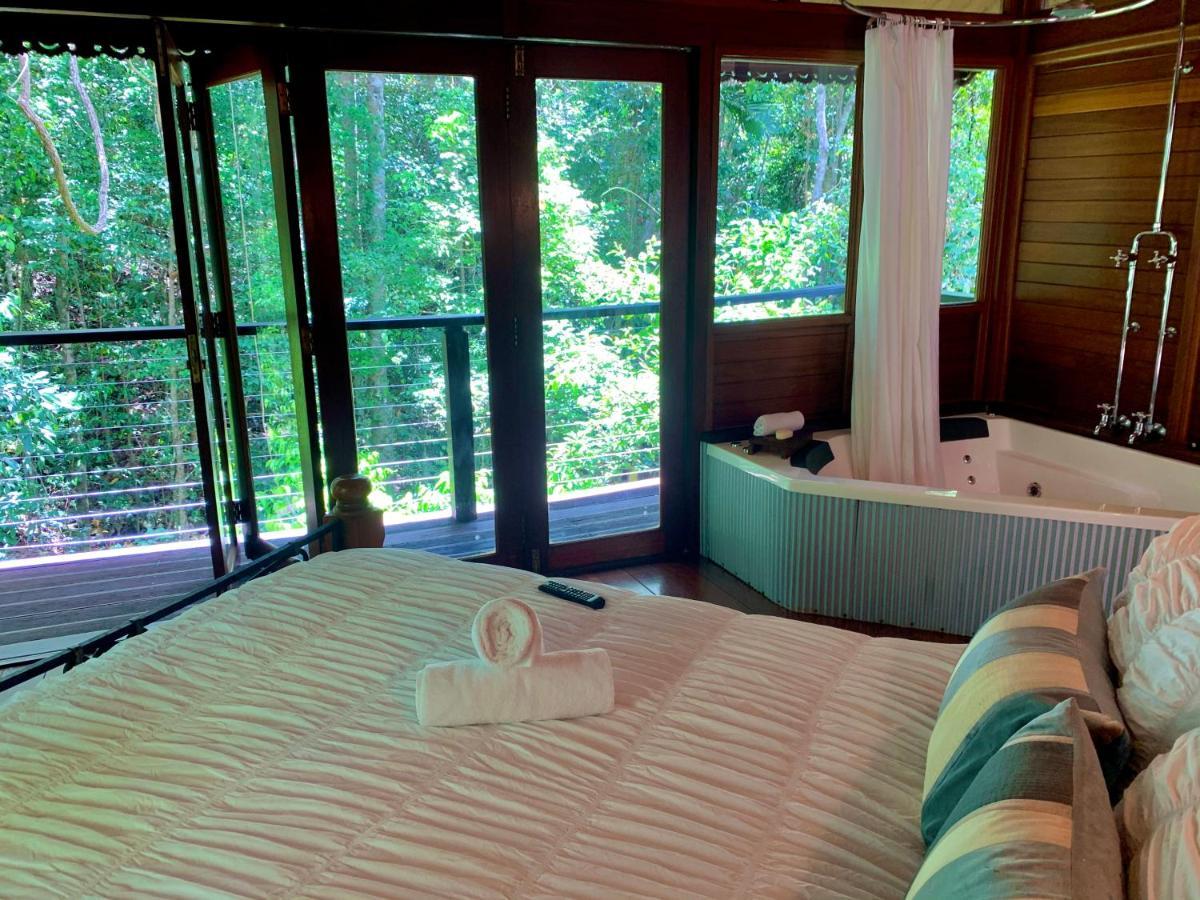 Rainforest Retreat Resort