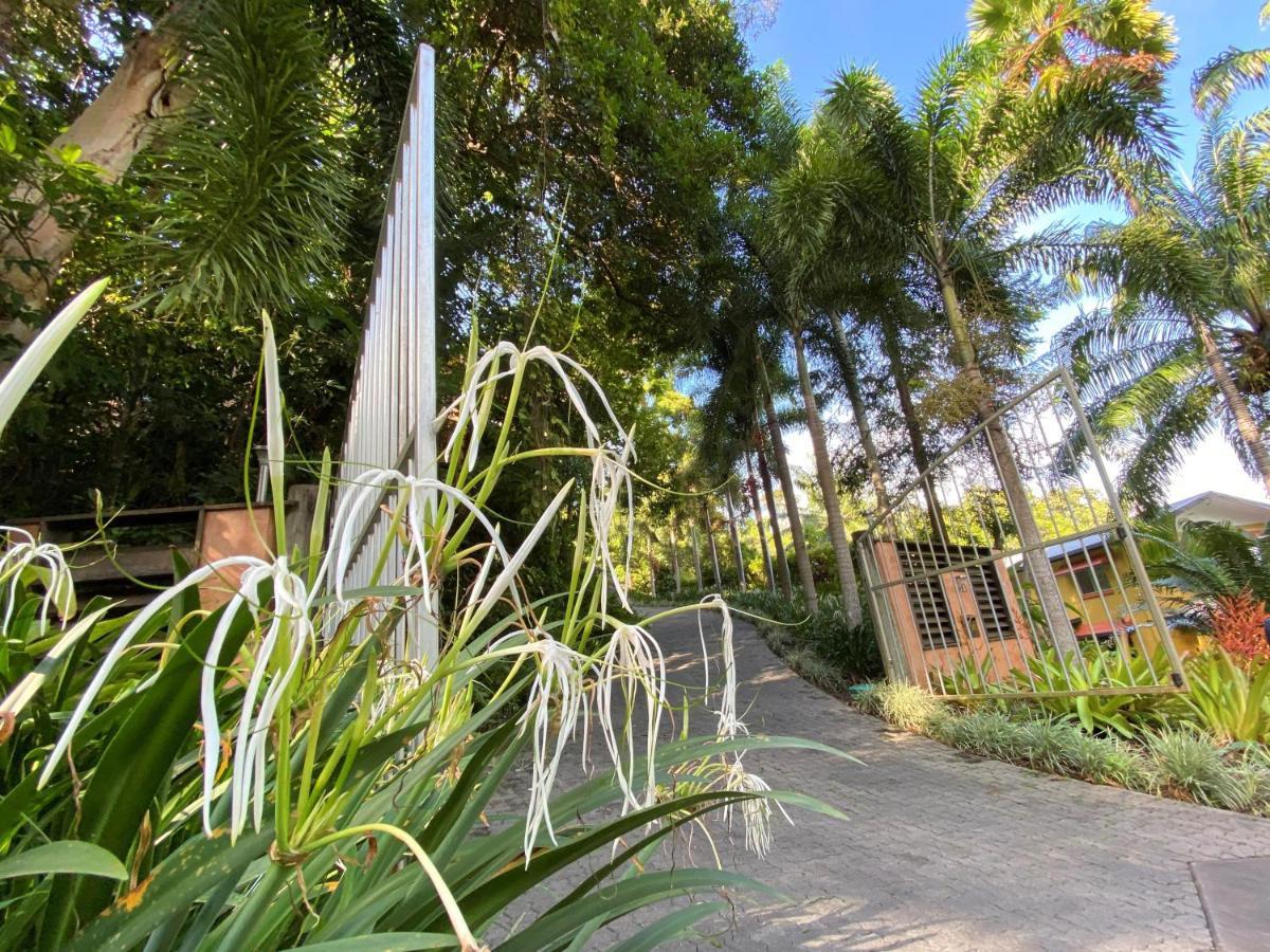 Rainforest Retreat Resort