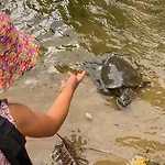 Tasman Holiday Parks - Cairns Cool Waters