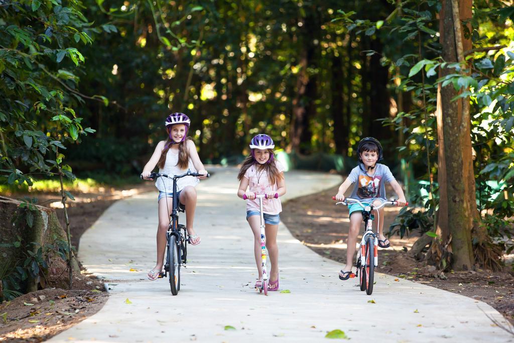 Big4 Cairns Crystal Cascades Holiday park