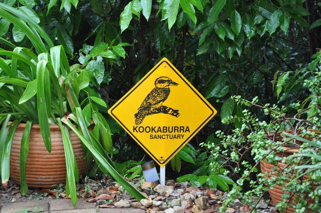 Kookas Bed & Breakfast Bed & Breakfast 4*
